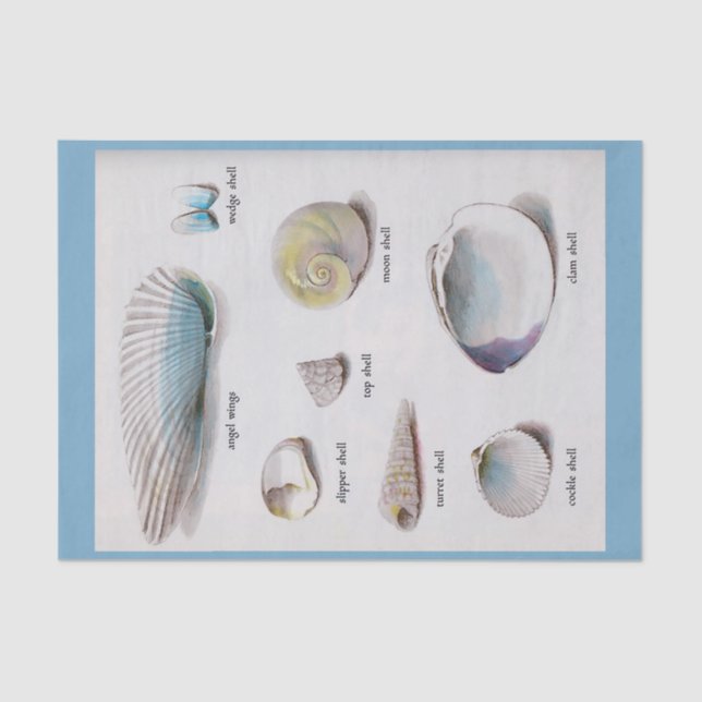 De Seda El mar descasca el pastel natural 10" X 15" papel (Anverso)