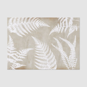 De Seda Elegante Fern blanco sobre papel Kraft