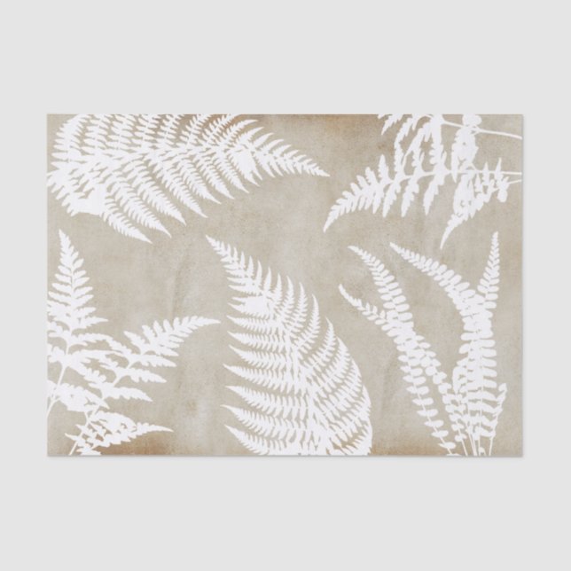 De Seda Elegante Fern blanco sobre papel Kraft (Anverso)