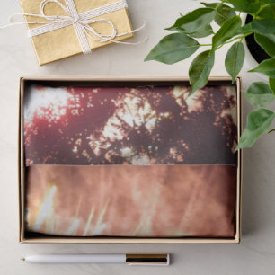 De Seda Fuegos artificiales 12 papel tisular