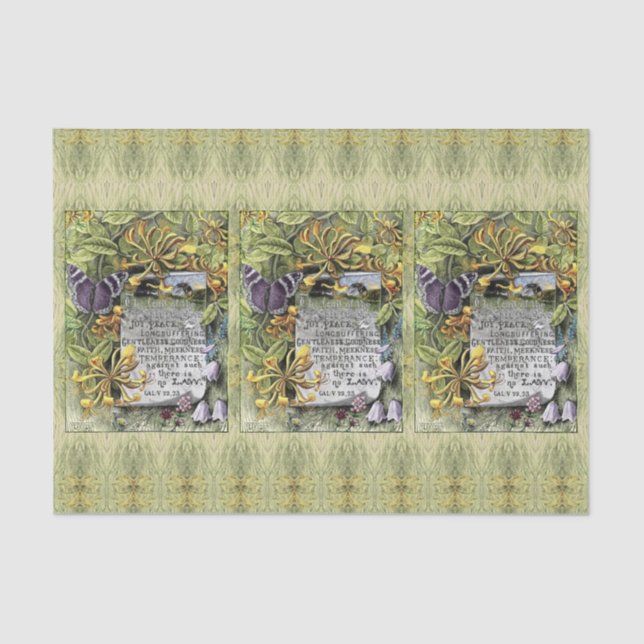 De Seda La Fruta Del Papel Del Tejido Espíritu (Anverso)