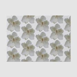 De Seda Magnolias blancas sobre papel tisular