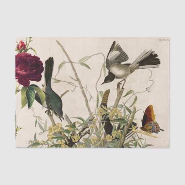 De Seda PÁJAROS Y Papel Tejido ROSA (Anverso)