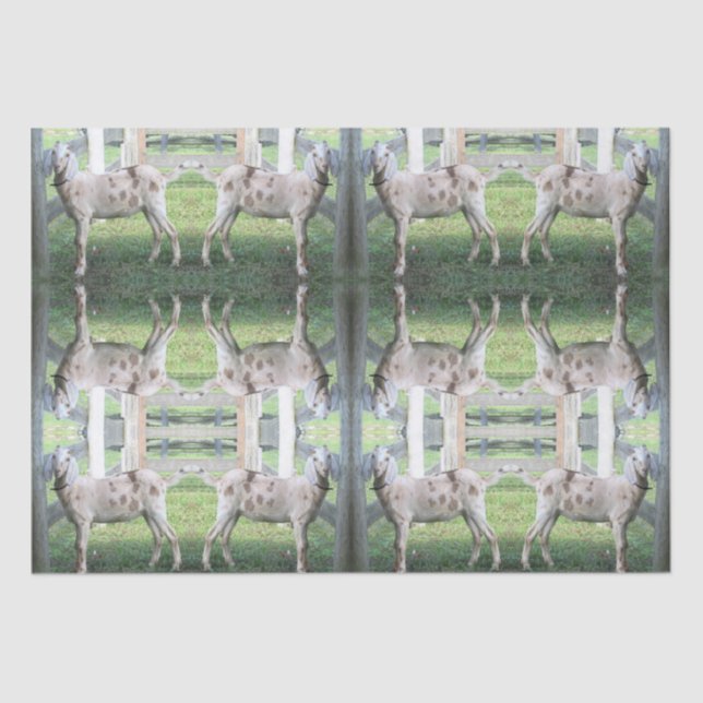 De Seda Papel Cute Spots Floppy Earat Tejido (Anverso)