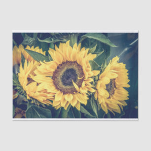 De Seda Papel del tapón del girasol