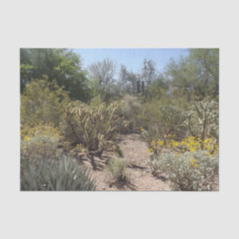 De Seda Papel del tejido del desierto