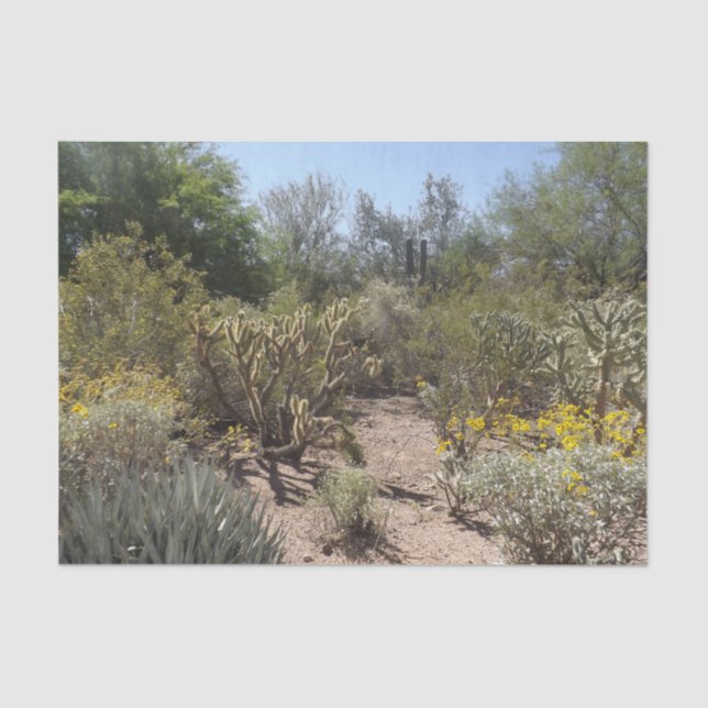 De Seda Papel del tejido del desierto (Anverso)