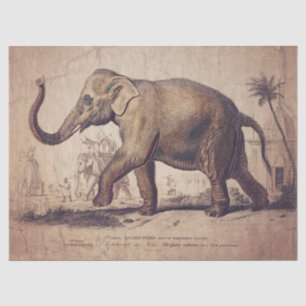 De Seda Papel elefante o papel desengrasante