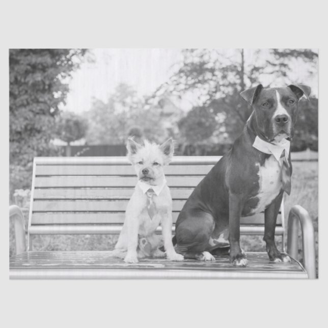 De Seda Papel higiénico boda Doggie (Anverso)