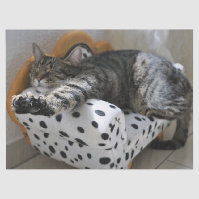 De Seda papel higiénico del gato dormido (Anverso)