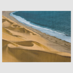 De Seda papel higiénico en el océano y la playa
