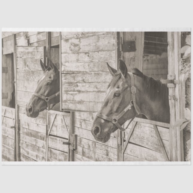 De Seda papel higiénico estable viejo (Anverso)