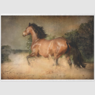 De Seda papel higiénico silvestre