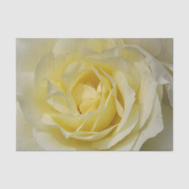 De Seda Papel rosa amarillo pálido