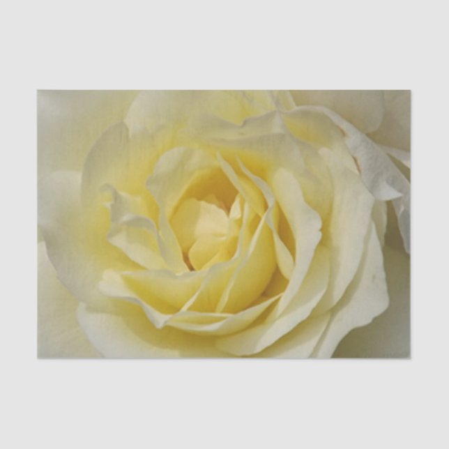 De Seda Papel rosa amarillo pálido (Anverso)