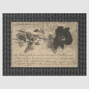 De Seda Papel tapón HALLOWEEN ROSA NEGRO