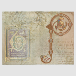 De Seda Papel Tejido Medieval Iluminado