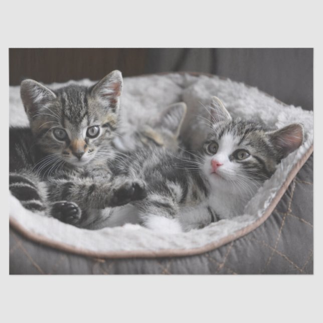 De Seda papel tisular para bebés (Anverso)