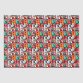 De Seda Perros pequeños en sudaderas envolviendo papel rol