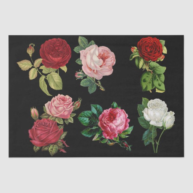 De Seda rosas galore papel tisular (Anverso)