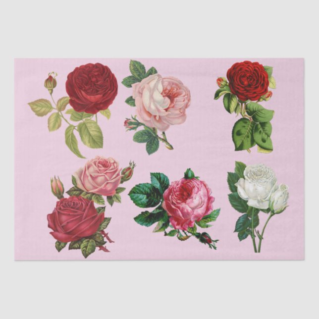 De Seda rosas galore papel tisular (Anverso)