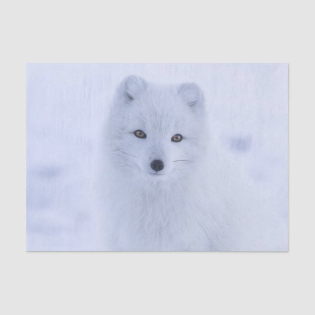 De Seda Tejido Papel blanco Fox (Anverso)