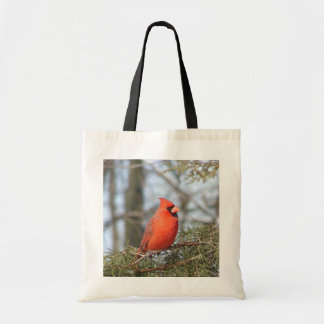 De Tela Bolso cardinal