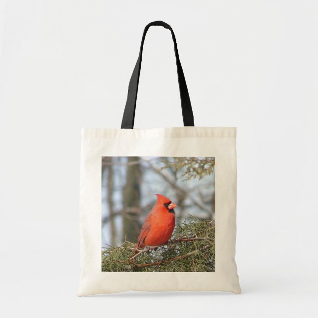 De Tela Bolso cardinal (Frente)