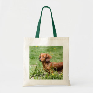 De Tela Bolso del Dachshund