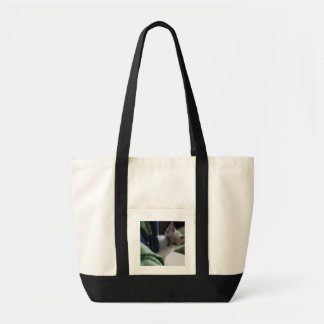 De Tela Bolso del gatito del peekaboo