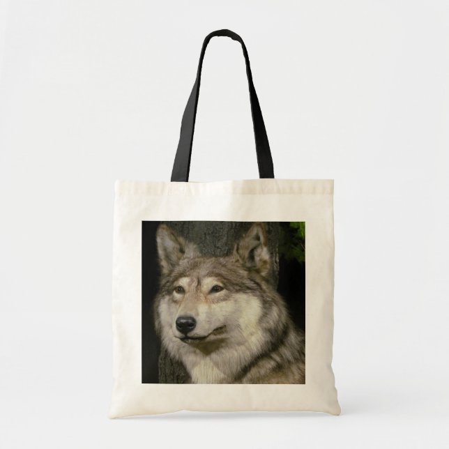 De Tela Bolso del lobo (Frente)