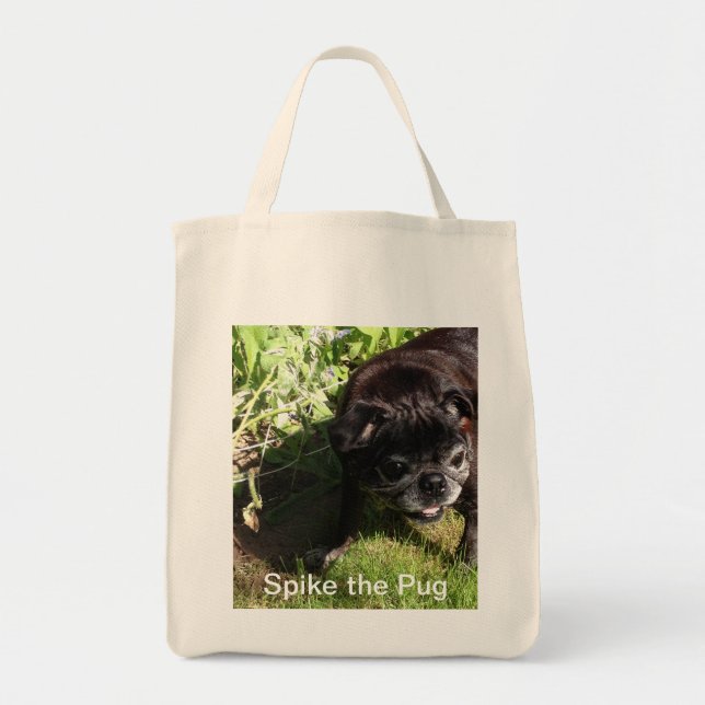 De Tela Bolso del punto (Frente)