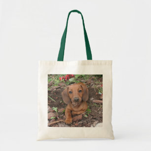 De Tela Bolso lindo del perro, dachshund, doxie