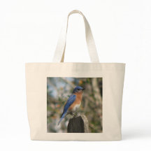 Bolso del este del varón del Bluebird