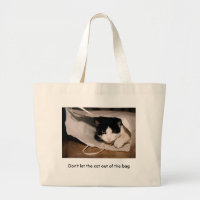 No deje el gato fuera del bolso