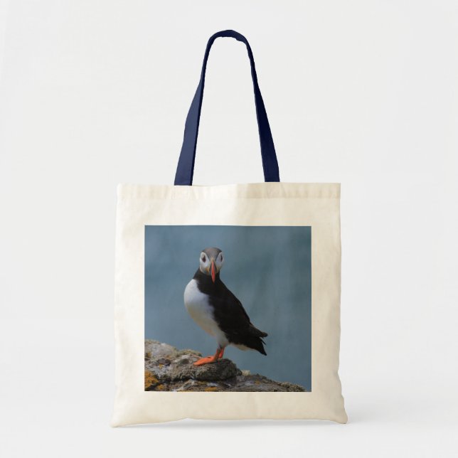 De Tela Véame bolso del frailecillo (Frente)