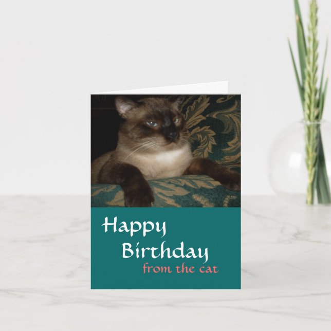 De tu gato - Tarjeta de cumpleaños para gatos siam (Anverso)