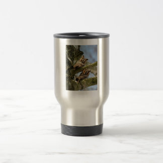 De Viaje Dos búhos en el bosque, aves, vida silvestre Taza 