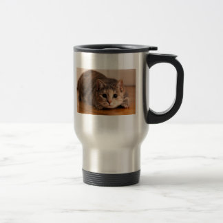 De Viaje Taza juguetona del gato