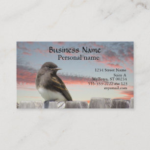 De Visita Bus. Tarjeta - Ave en la valla al atardecer