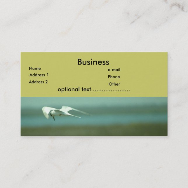 De Visita Bus. Tarjeta - Tern (Anverso)