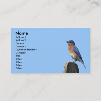 De Visita Tarjeta del este del perfil del Bluebird