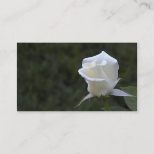 De Visita Tarjeta del negocio o del perfil del rosa blanco