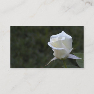De Visita Tarjeta del negocio o del perfil del rosa blanco