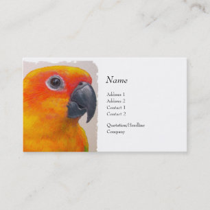 De Visita Tarjeta del perfil - Sun Conure