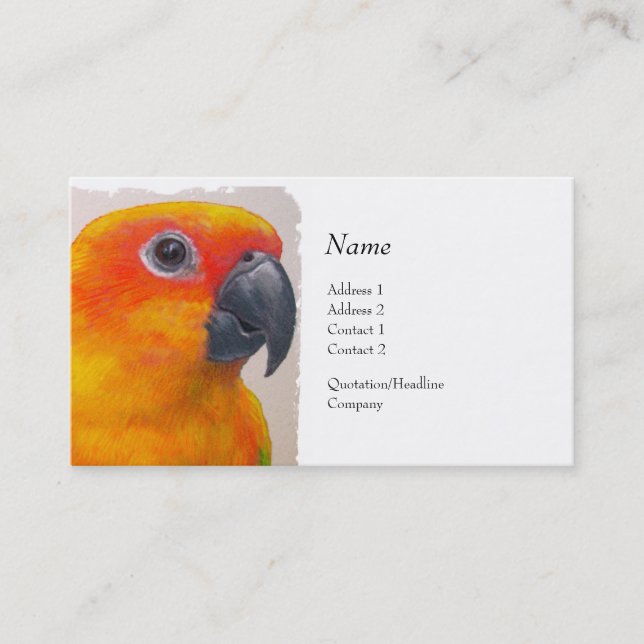 De Visita Tarjeta del perfil - Sun Conure (Anverso)