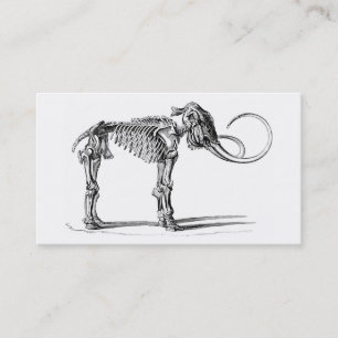 De Visita Tarjeta esquelética del perfil del mamut lanoso