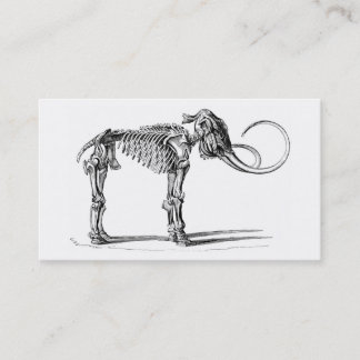 De Visita Tarjeta esquelética del perfil del mamut lanoso