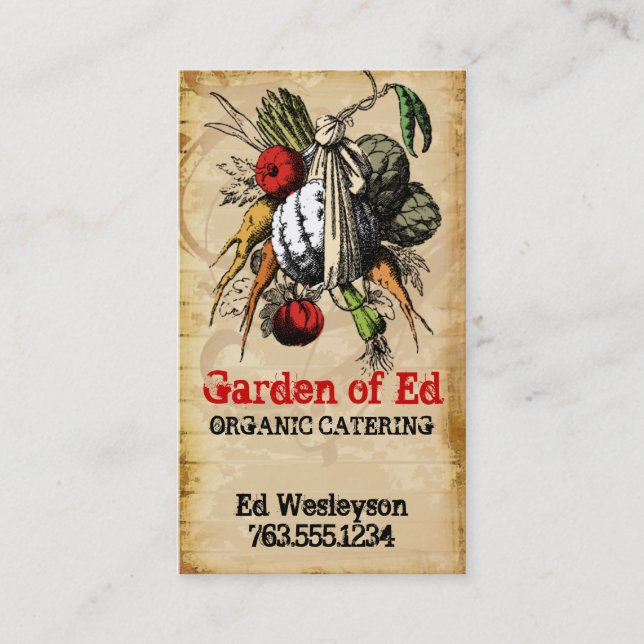 De Visita tarjeta vegetal del abastecimiento del cocinero (Anverso)