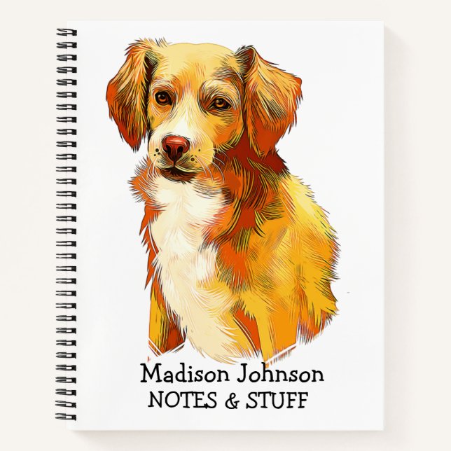 De vuelta al cuaderno de Alopekis (Anverso)